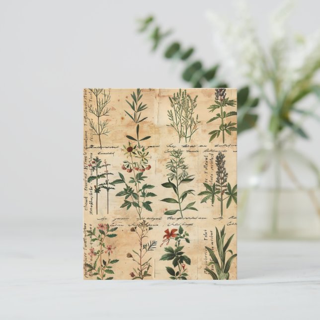 Papier à scandale vintage à base de plantes végéta (Debout devant)
