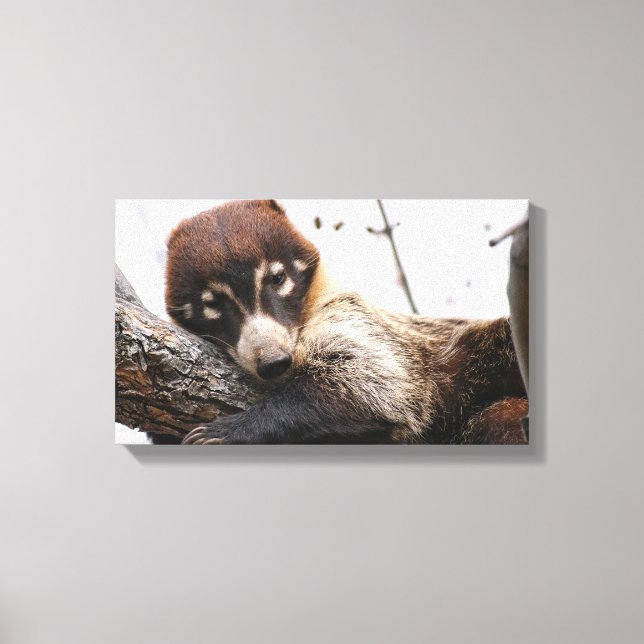 Papier à toile : Coatimundi #4 (Recto)