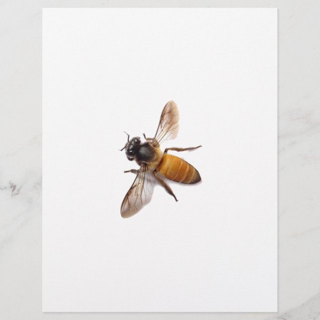 Papier Abeille miel mignonne bee bumble bee (Devant)