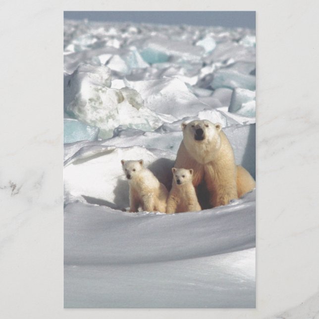 Papier Ajouter SLOGAN pour sauver les ours polaires arcti (Devant)