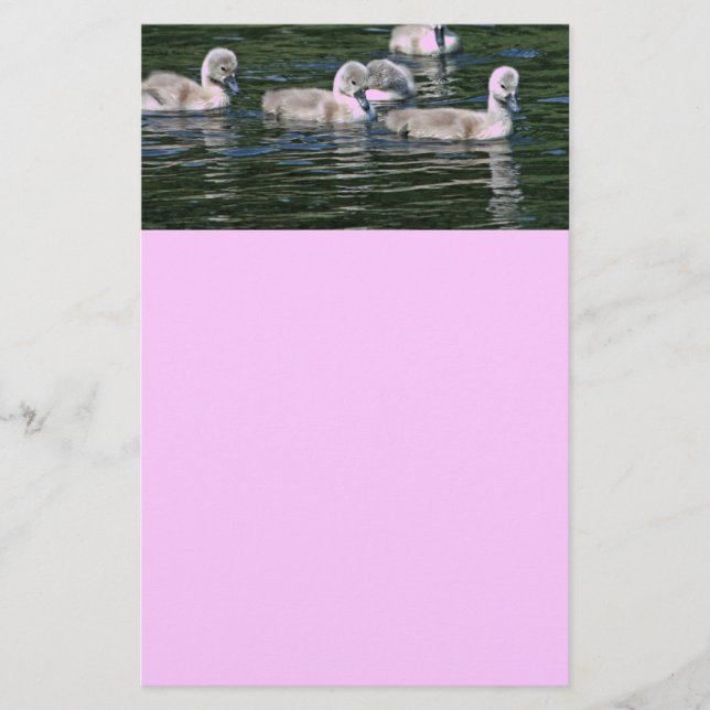 Papier Amis de bain (Devant)