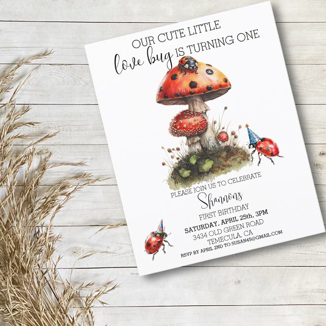 Papier Amour Bug Ladybug fête d'anniversaire (Créateur téléchargé)
