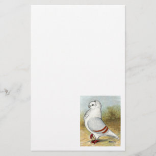 Papier Ancien hibou allemand Pigeon debout haute