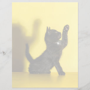 Papier Animaux de bébés cutest Black Cat Jouer