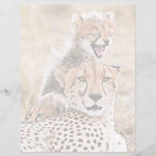 Papier Animaux de bébés cutest Cheetah Cat & Cub