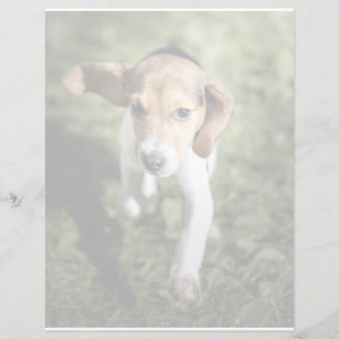 Papier Animaux de bébés cutest Chiot Beagle