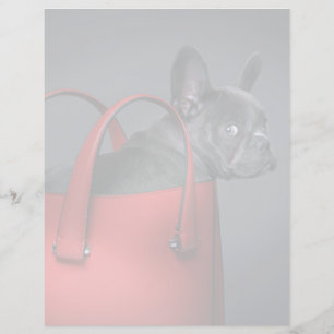 Papier Animaux de bébés cutest French Bulldog Red Hand