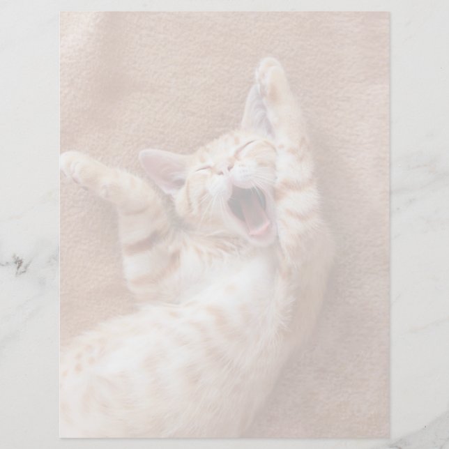 Papier Animaux de bébés cutest | Ginger Kitten Yawning (Devant)