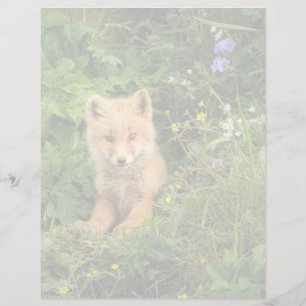 Papier Animaux de bébés cutest Renard rouge à Umnak Ala