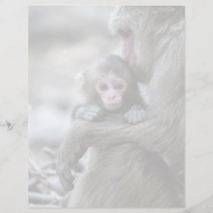 Papier Animaux de bébés cutest   Singe et bébé japonais