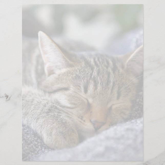 Papier Animaux de bébés cutest | Tabby Kitten Sommeil (Devant)
