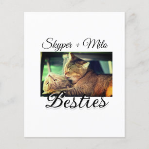 Papier Animaux de compagnie amis besties ajouter nom anim