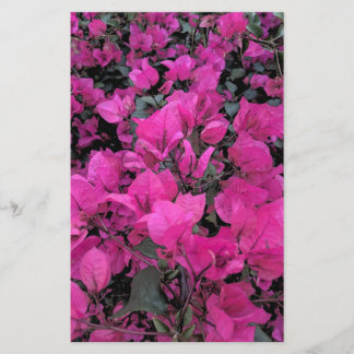 Papier Aquarelle-Bougainvilliers