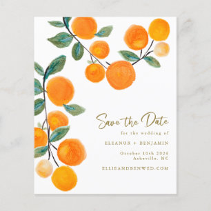 Papier Aquarelle Budget Fruit Orange Enregistrer La Date