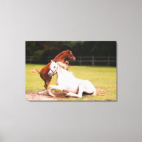 Papier arabe mare en toile étirée