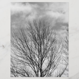Papier Arbre monochrome