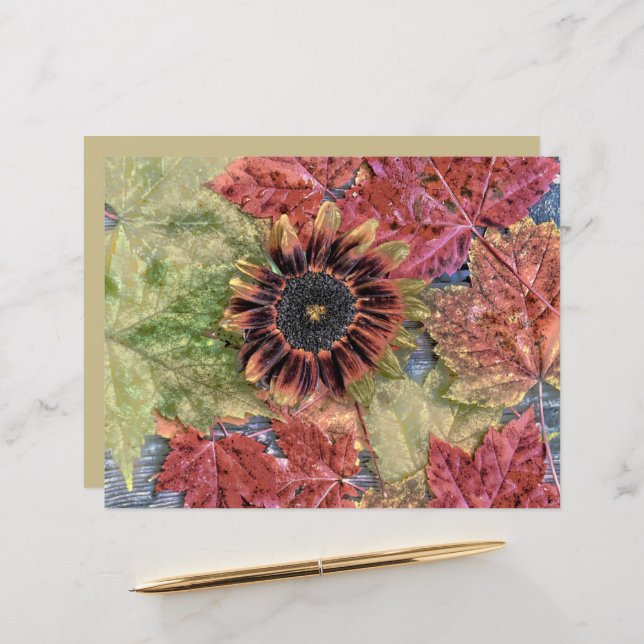 Papier Automne Vintage Tournesol Rustique Brown Maple Feu (Devant/Arrière en situation)