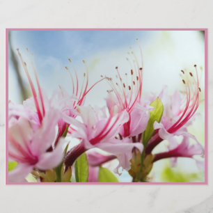 Papier azalées sauvages