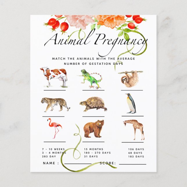 Papier Baby shower Citrouille de grossesse animale (Devant)