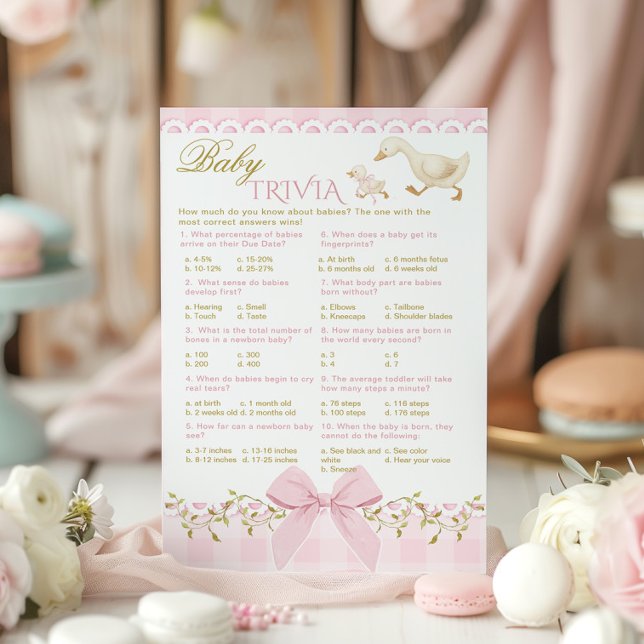 Papier Baby Trivia Silly Goose Pink Gingham Baby Shower (Créateur téléchargé)