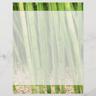 Papier Bambou vert