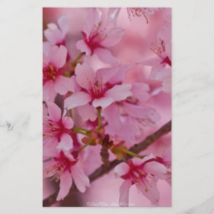 Papier Bathed in Pink Japanese Cherry