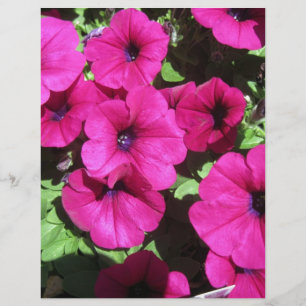 Papier Beaucoup de Pétunias Violets
