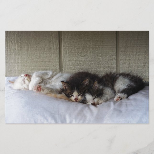 Papier Beautés dormantes (Devant)