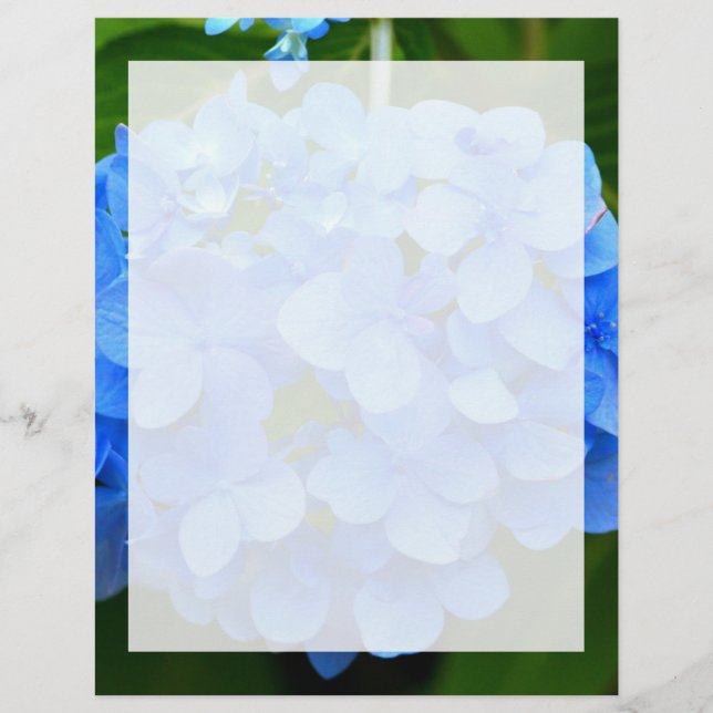 Papier Belle Hydrangée Bleue Fleur (Devant)