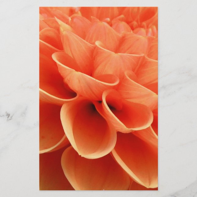 Papier Belle Pêche Colorée Dahlia Pétales Fleurs (Devant)