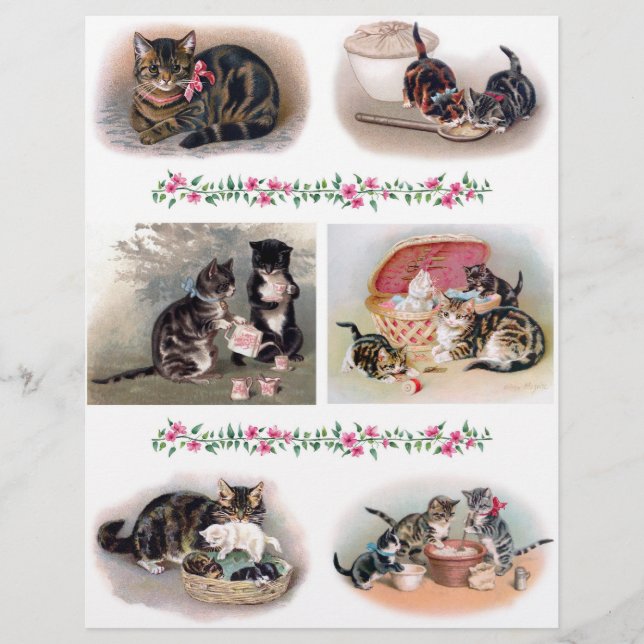 Papier Belles illustrations de chats et de chatons H. Mag (Devant)