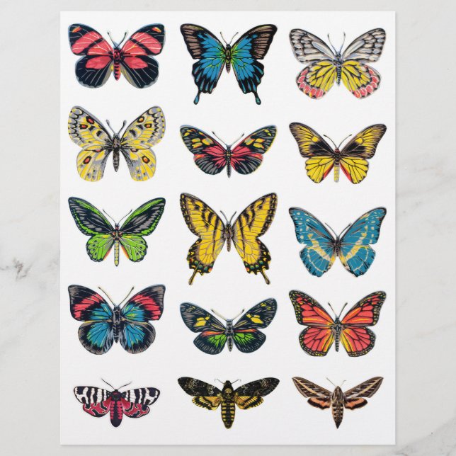 Papier Belles illustrations de papillons pour l'artisanat (Devant)