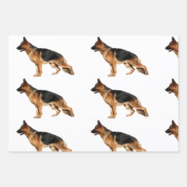 Papier berger allemand (Devant 3)