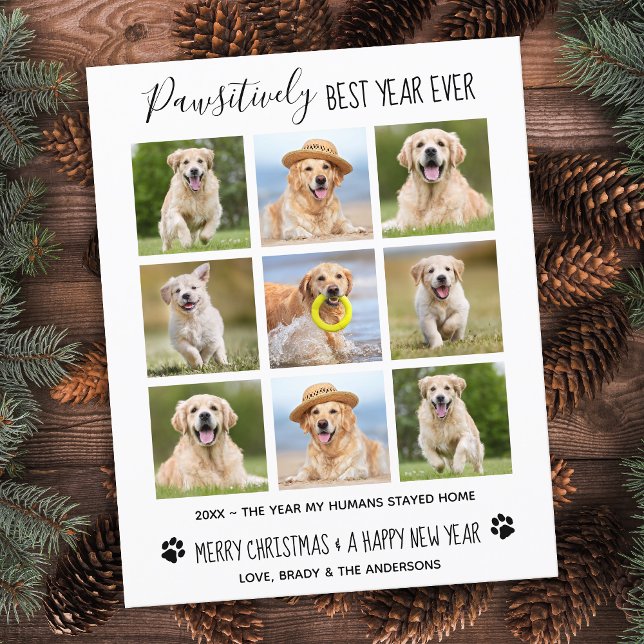 Papier Bilan de l'année de chien Budget Photo Collage Car (Créateur téléchargé)