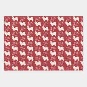 Papier blanc Espagnol tibétain