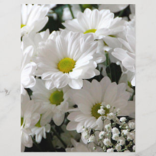 Papier blanc pour bébé et marguerite