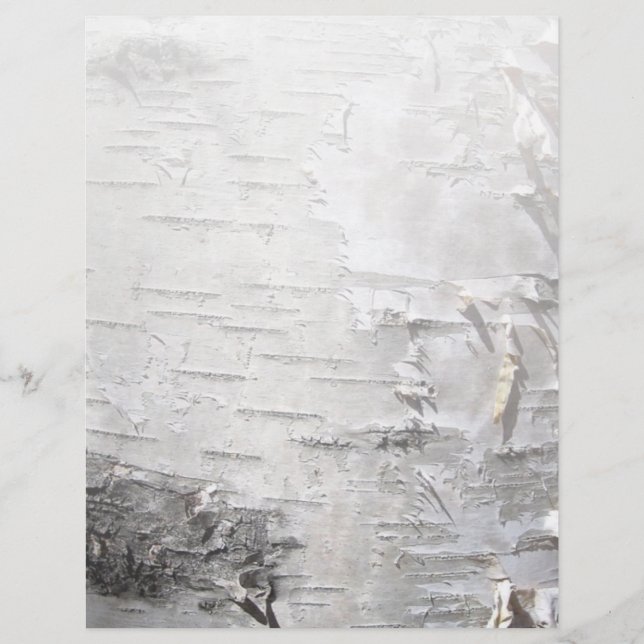 Papier bohème rustique campagne chic arbre écorce bouleau (Devant)