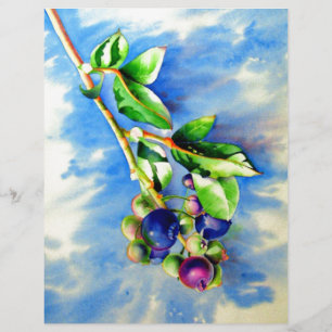 Papier Branche de bleuet, aquarelle