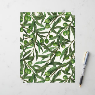 Papier Branches d'olivier sur fond blanc cassé