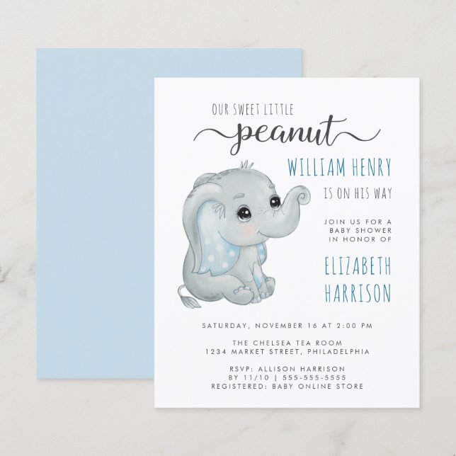 Papier Budget Blue Elephant Aquarelle bébé garçon douche (Devant / Derrière)
