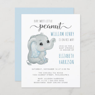 Papier Budget Blue Elephant Aquarelle Bébé Garçon Sprinke