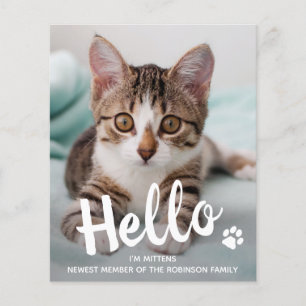 Papier Budget Bonjour Nouveau Animal Photo Kitten Chat Fa