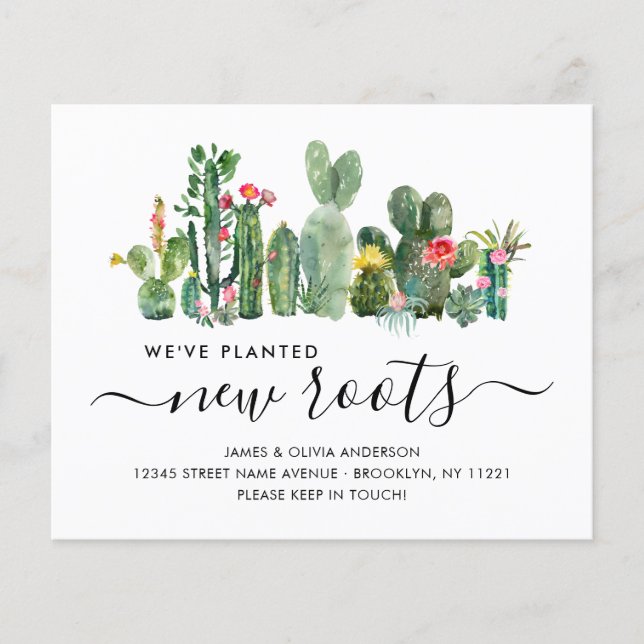 Papier Budget Cactus Plantation Nouvelles Racines Déplace (Devant)