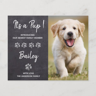 Papier Budget C'est un nouveau Faire-part de chien de mar