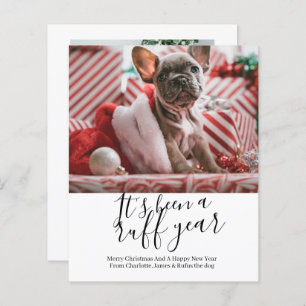 Papier BUDGET C'est une année difficile Noël de chien