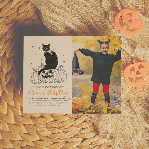 Papier Budget Chat noir Halloween Photo Citrouille Annive