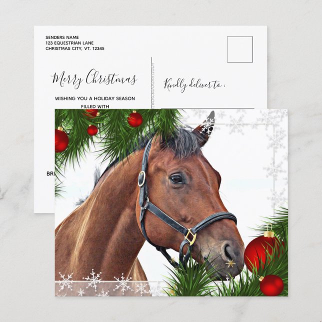Papier Budget Cheval Noël équine Cute Pony Holiday (Devant / Derrière)