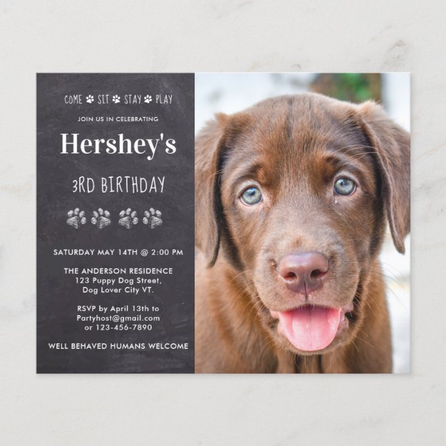 Papier Budget Chien Anniversaire Chiot Personnalisé Photo (Devant)