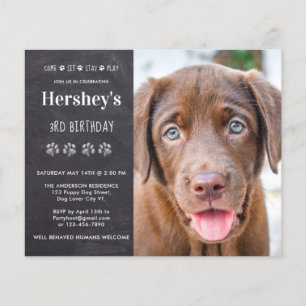 Papier Budget Chien Anniversaire Chiot Personnalisé Photo