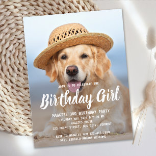 Papier Budget Chien Chien Chien Chien Anniversaire Fête A